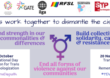 International Day of Action for Trans Depathologization and Transgender Day of Remembrance web banner