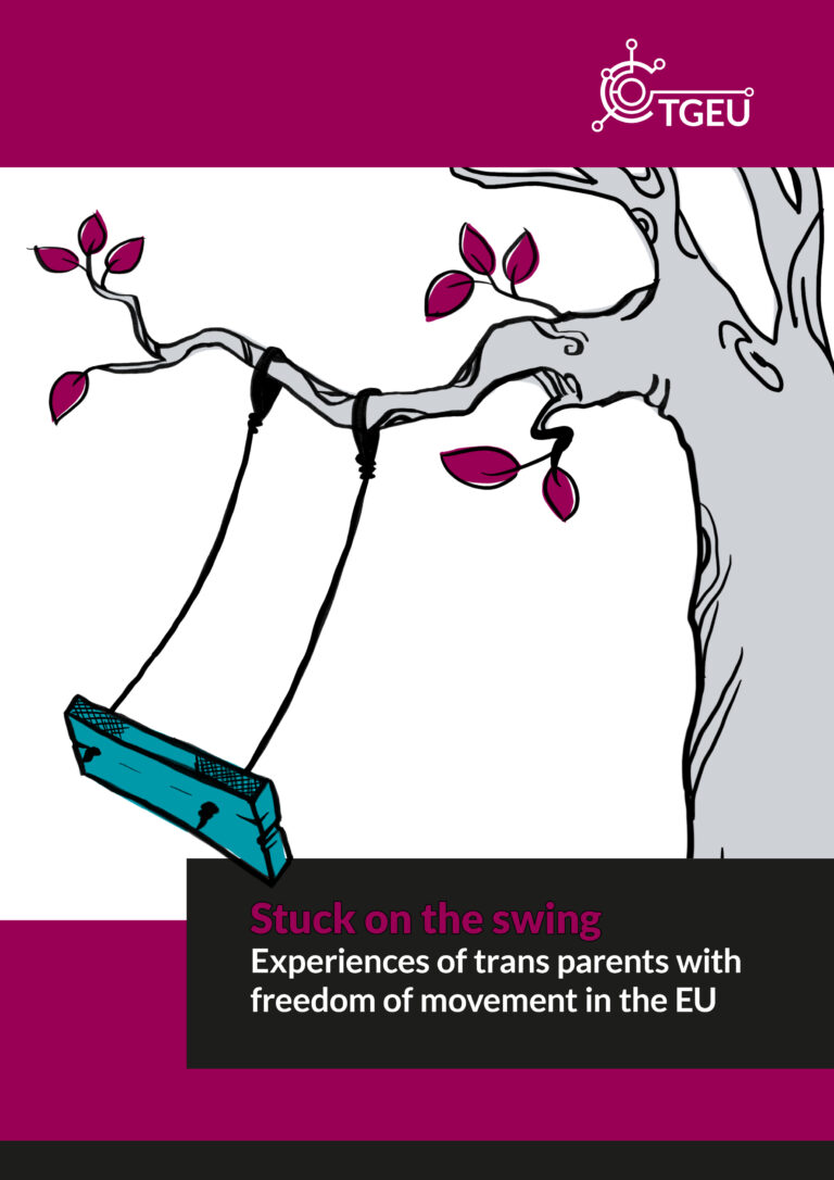 Trans parents and families - Cover of TGEU's report 'Stuck on the swing'