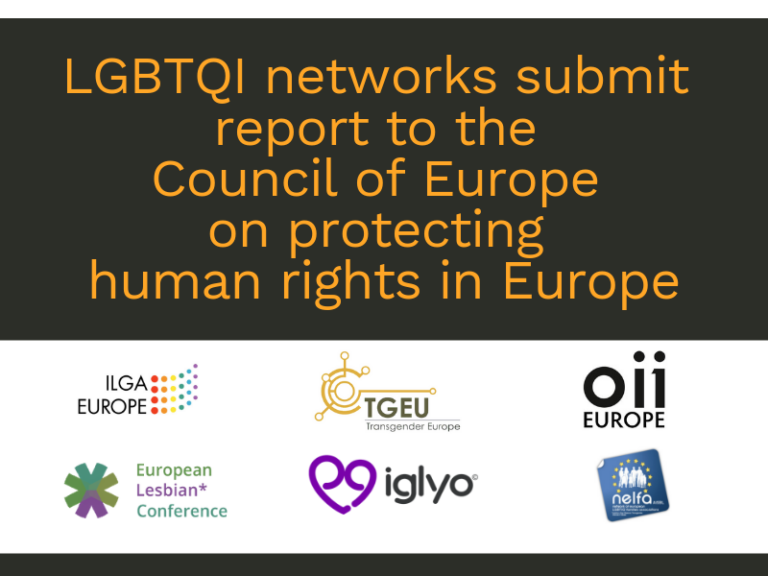 Logos of 6 European LGBTQI networks and the text read "LGBTQI networks submit report to the Council of Europe on protecting human rights in Europe"