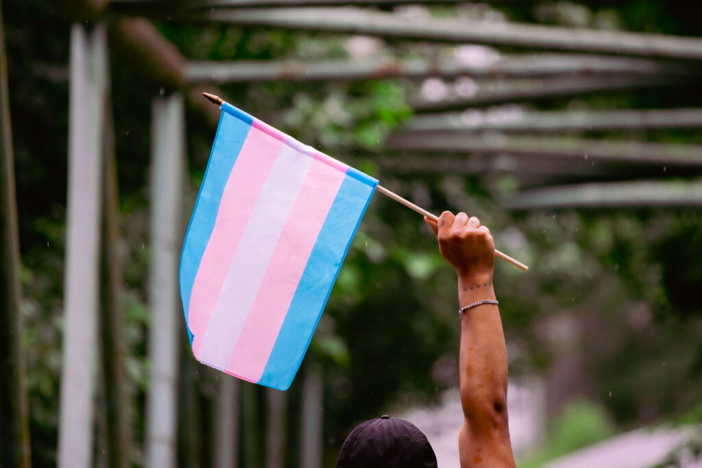 Person holding a trans flag