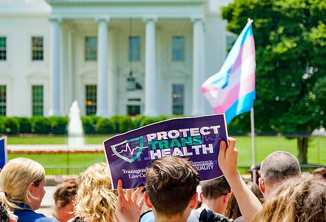 A trans flag and 'Protect Trans Health' sign above a crowd. Image credit: Ted Eytan