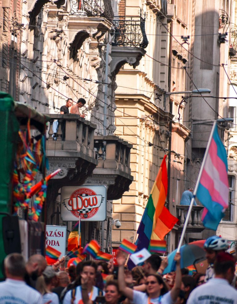 people protesting in the streets of Budapest with rainbow and trans flags.