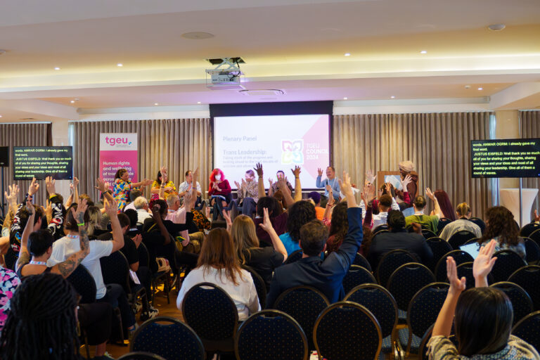Participants sitting in a conference room at the 9th European and Central Asian Trans Council in Malta, Nov 2024