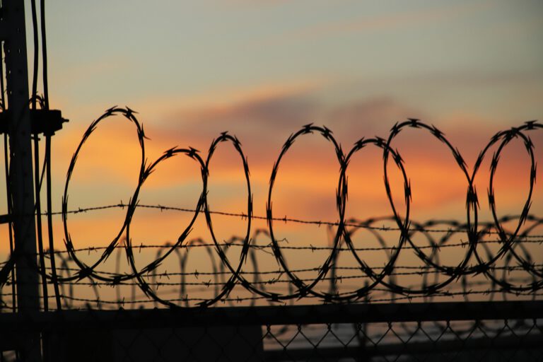 Curling barbed wire in the foreground with an orange sunset in the sky in the background