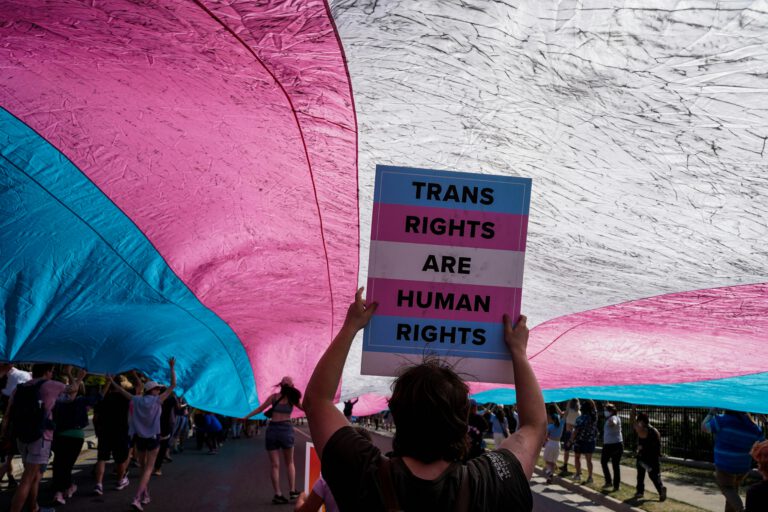 A demonstrator holds a “Trans rights are human rights” sign beneath a vast pink, white, and blue transgender pride flag, conveying solidarity and hope.